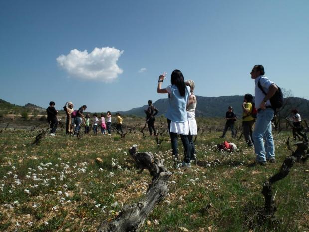 Sortida Montsant, Visita Cellers Cornudella de Montsant