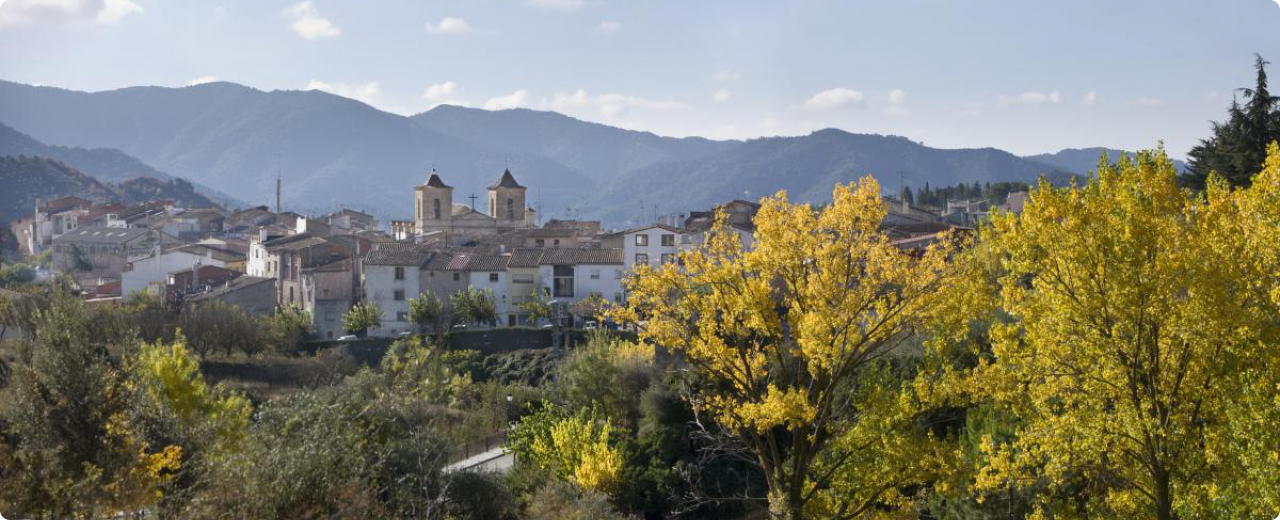 Panoràmica del poble