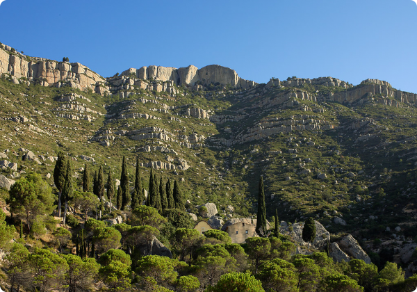 Sant Joan del Codolar.