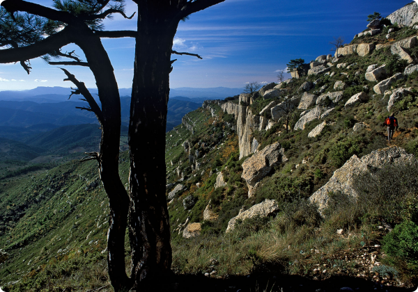 Graus de Montsant, Montsant Parc natural, Rutes Senderisme